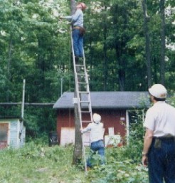 Look at shack in 1988
